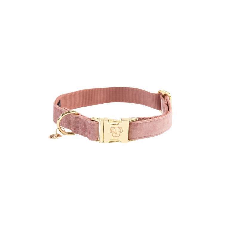 KENTUCKY DOGWEAR | Velvet Halsband - Oud Roze