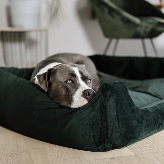 KENTUCKY DOGWEAR | Velvet Hondenbed - Dennengroen