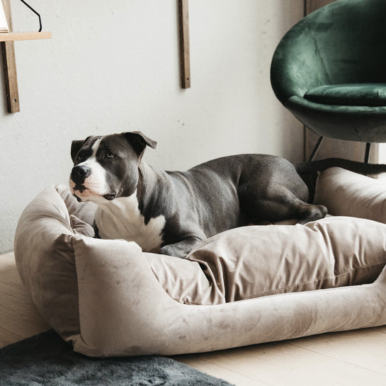 KENTUCKY DOGWEAR | Velvet Hondenbed - Beige