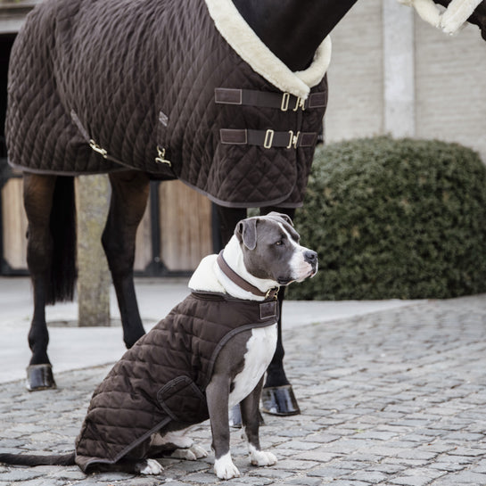 KENTUCKY DOGWEAR | Original Dog Coat - Bruin