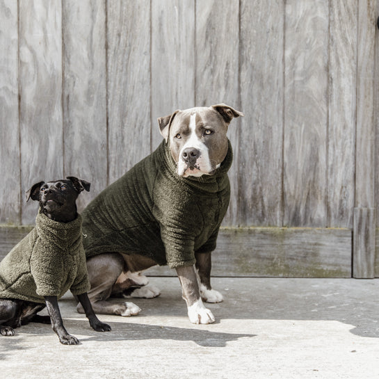 KENTUCKY DOGWEAR | Teddy Fleece Hondensweater - Dennengroen