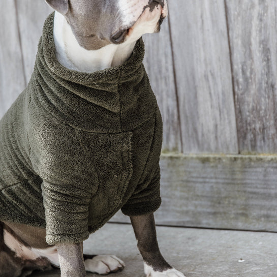 KENTUCKY DOGWEAR | Teddy Fleece Hondensweater - Dennengroen