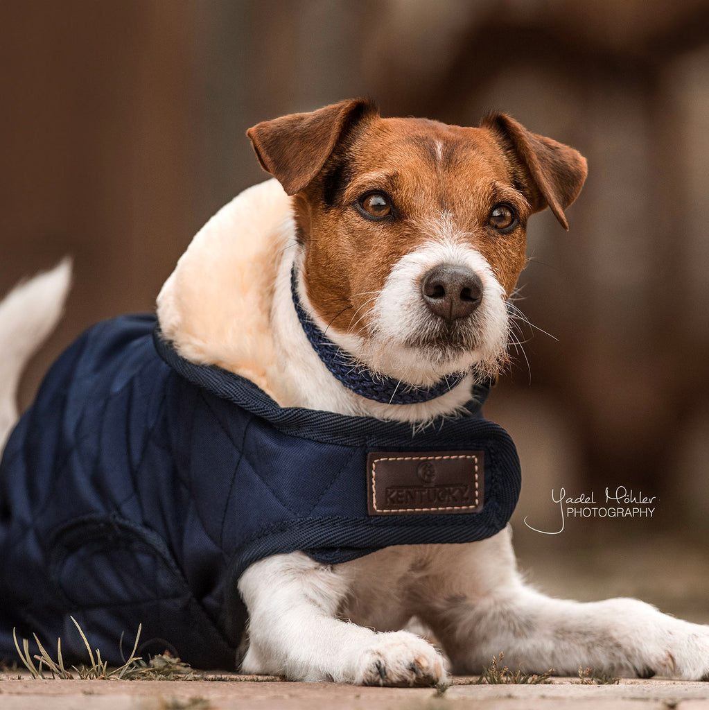 KENTUCKY DOGWEAR | Original Dog Coat - Navy