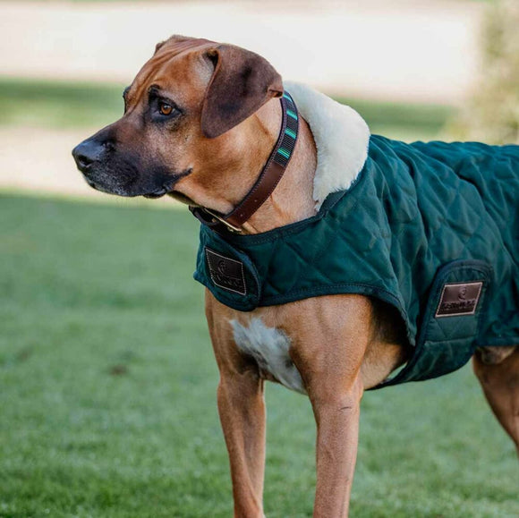 KENTUCKY DOGWEAR | Original Dog Coat - Groen
