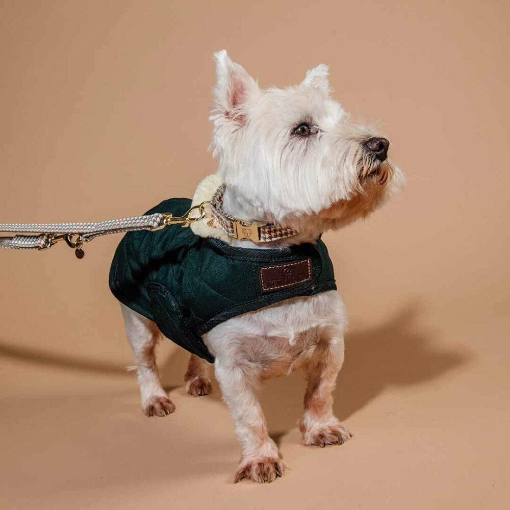 KENTUCKY DOGWEAR | Original Dog Coat - Groen