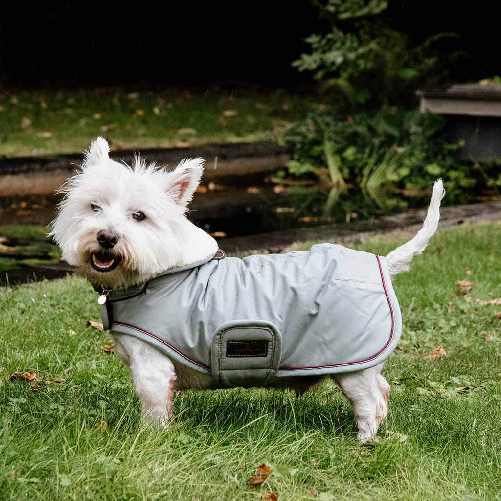 KENTUCKY DOGWEAR | Waterproof Dog Coat - Dusty Blue