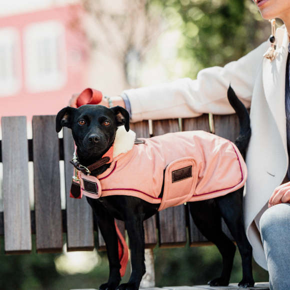 KENTUCKY DOGWEAR | Waterproof Dog Coat - Koraal