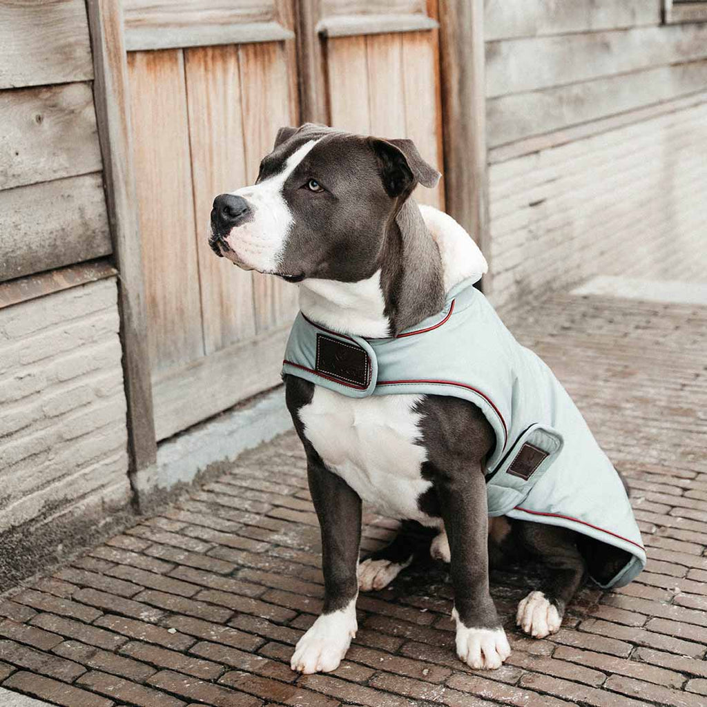 KENTUCKY DOGWEAR | Waterproof Dog Coat - Dusty Blue