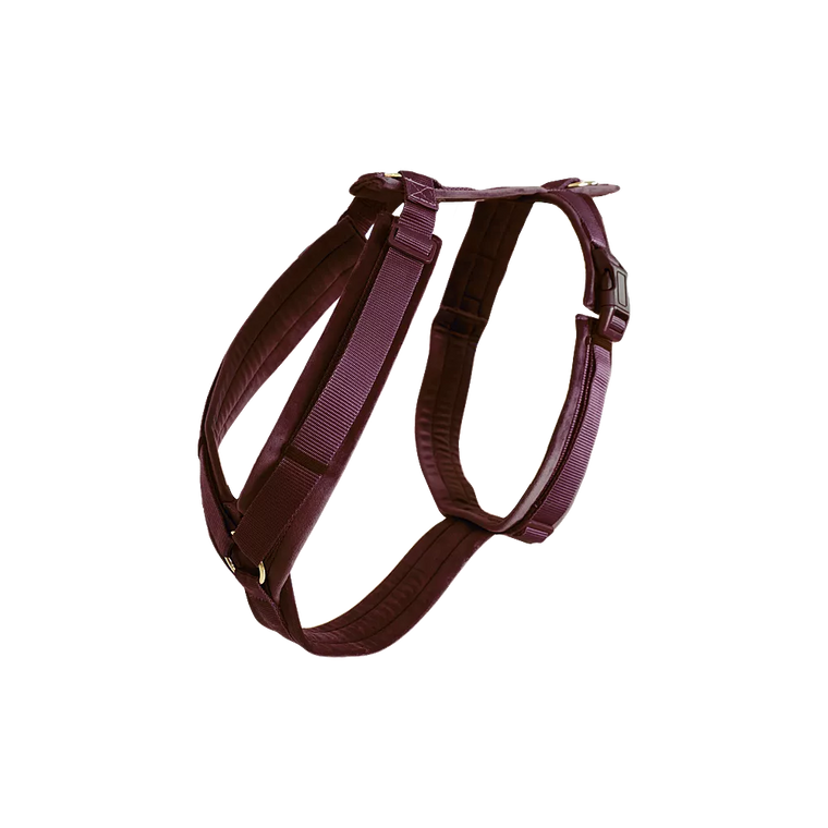 KENTUCKY DOGWEAR | Active Velvet Harnas - Bordeaux