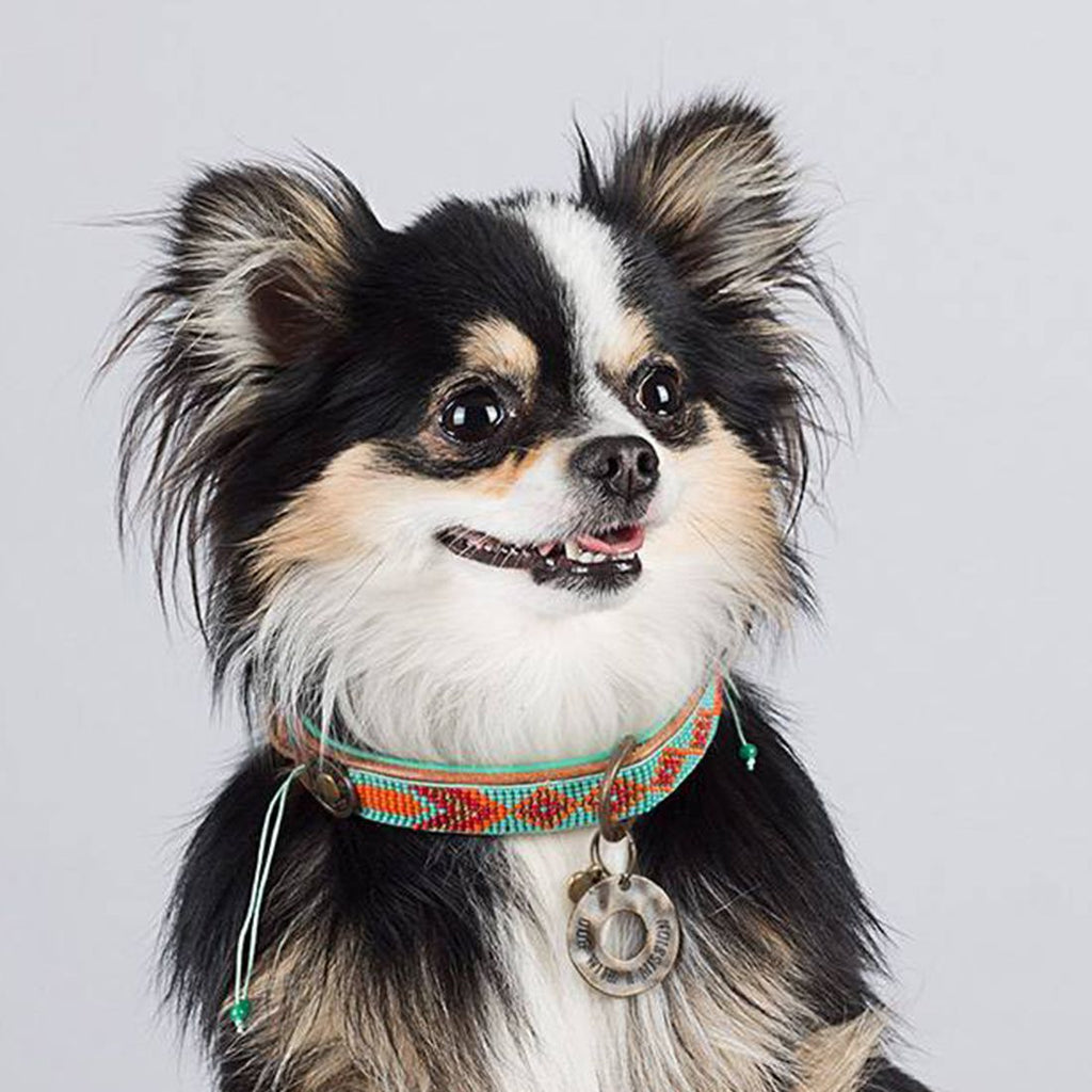 DWAM | Halsband - Paddy Lee