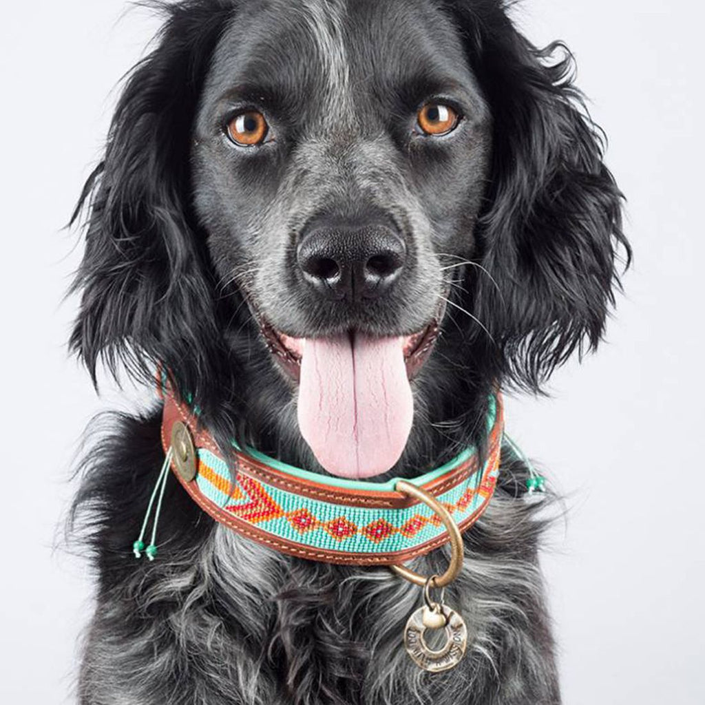 DWAM | Halsband - Paddy Lee