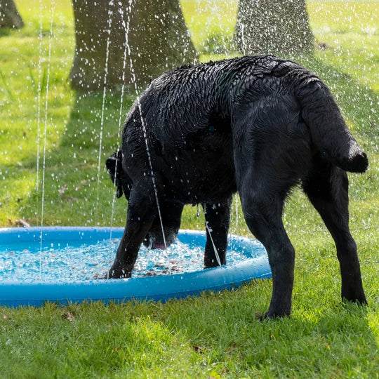 COOLPETS | Splash Pool Sproeier