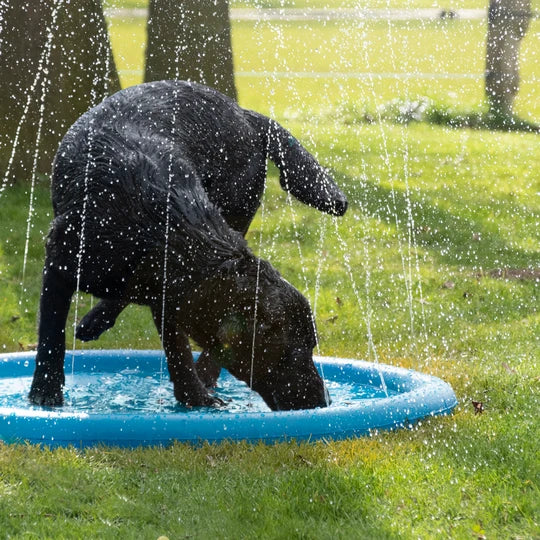 COOLPETS | Splash Pool Sproeier