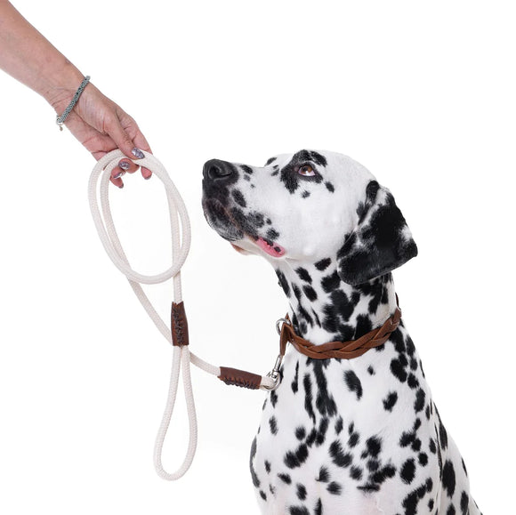 COOPER & QUINT | Just Cotton Leash