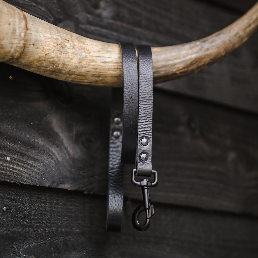 COOPER & QUINT | No Fuss Leather Leash - All Black