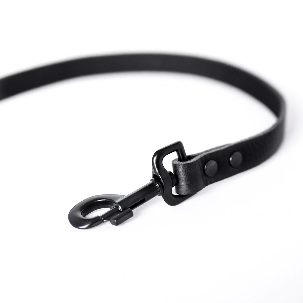 COOPER & QUINT | No Fuss Leather Leash - All Black