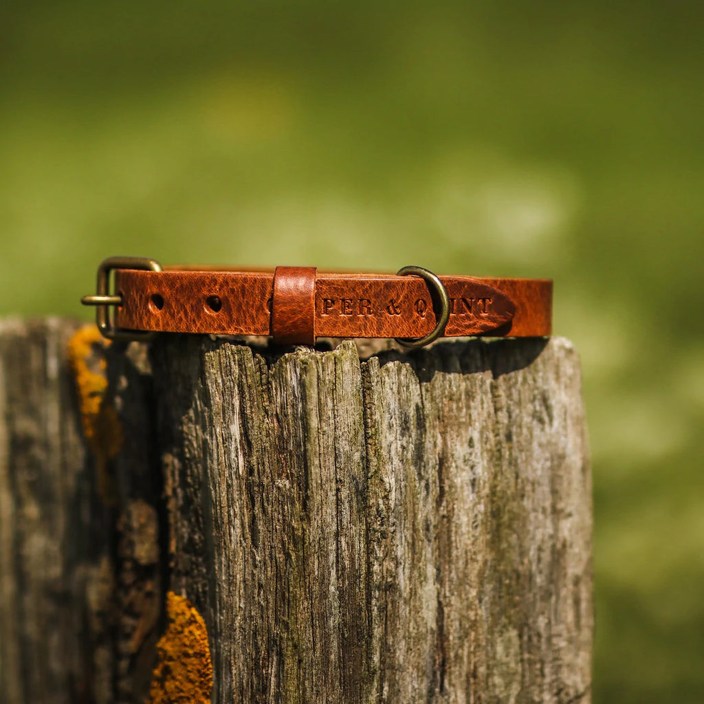 COOPER & QUINT | No Fuss Leather Collar - Brown