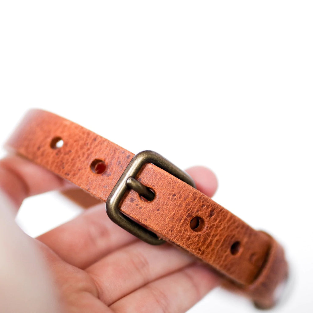 COOPER & QUINT | No Fuss Leather Collar - Camel