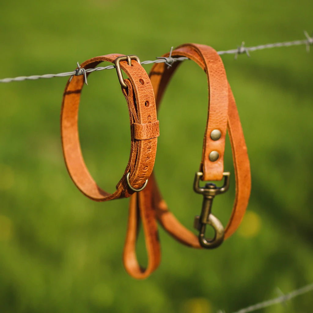 COOPER & QUINT | No Fuss Leather Collar - Camel