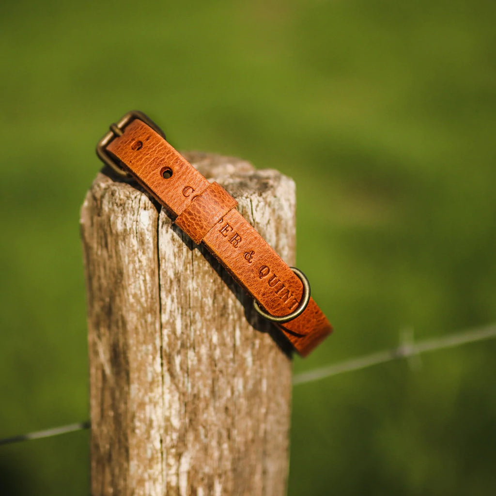 COOPER & QUINT | No Fuss Leather Collar - Camel