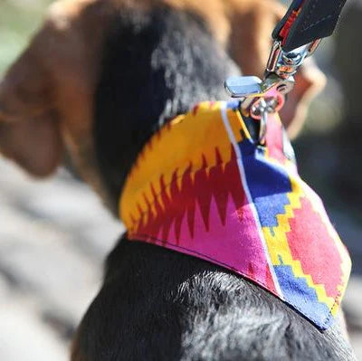 HIRO + WOLF | Dakar Dog Bandana