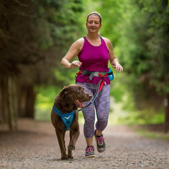KURGO | K9 Excursion Running Belt