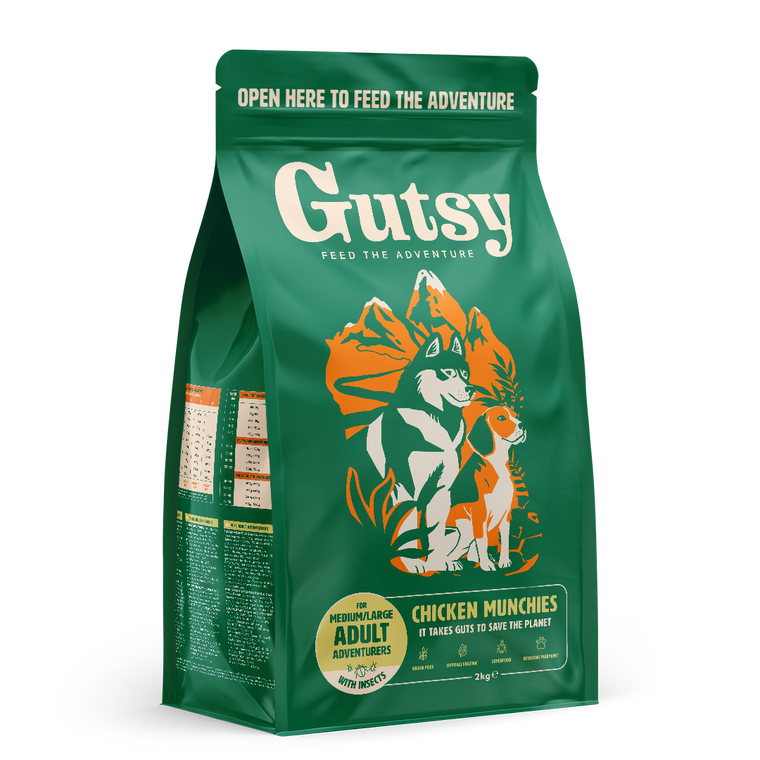 GUTSY | Large Adult