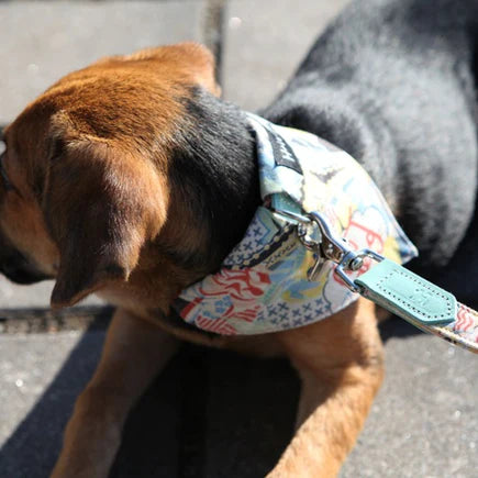 HIRO + WOLF | New York! New York! Dog Bandana