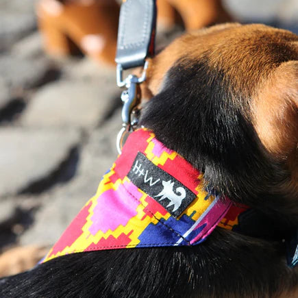 HIRO + WOLF | Dakar Dog Bandana