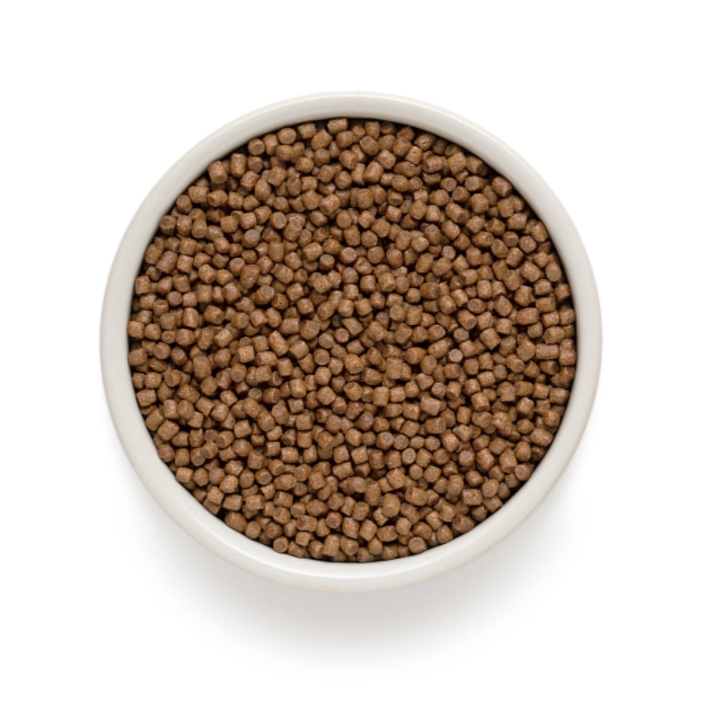 GRANDORF CAT | Lamb & Brown Rice - Kitten
