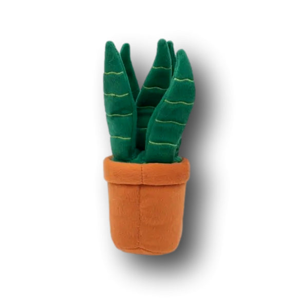 ZIPPYPAWS | Snake Plant