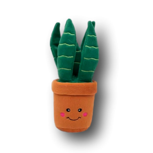 ZIPPYPAWS | Snake Plant