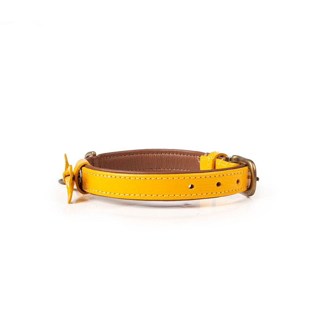 DWAM | Halsband - Bibi
