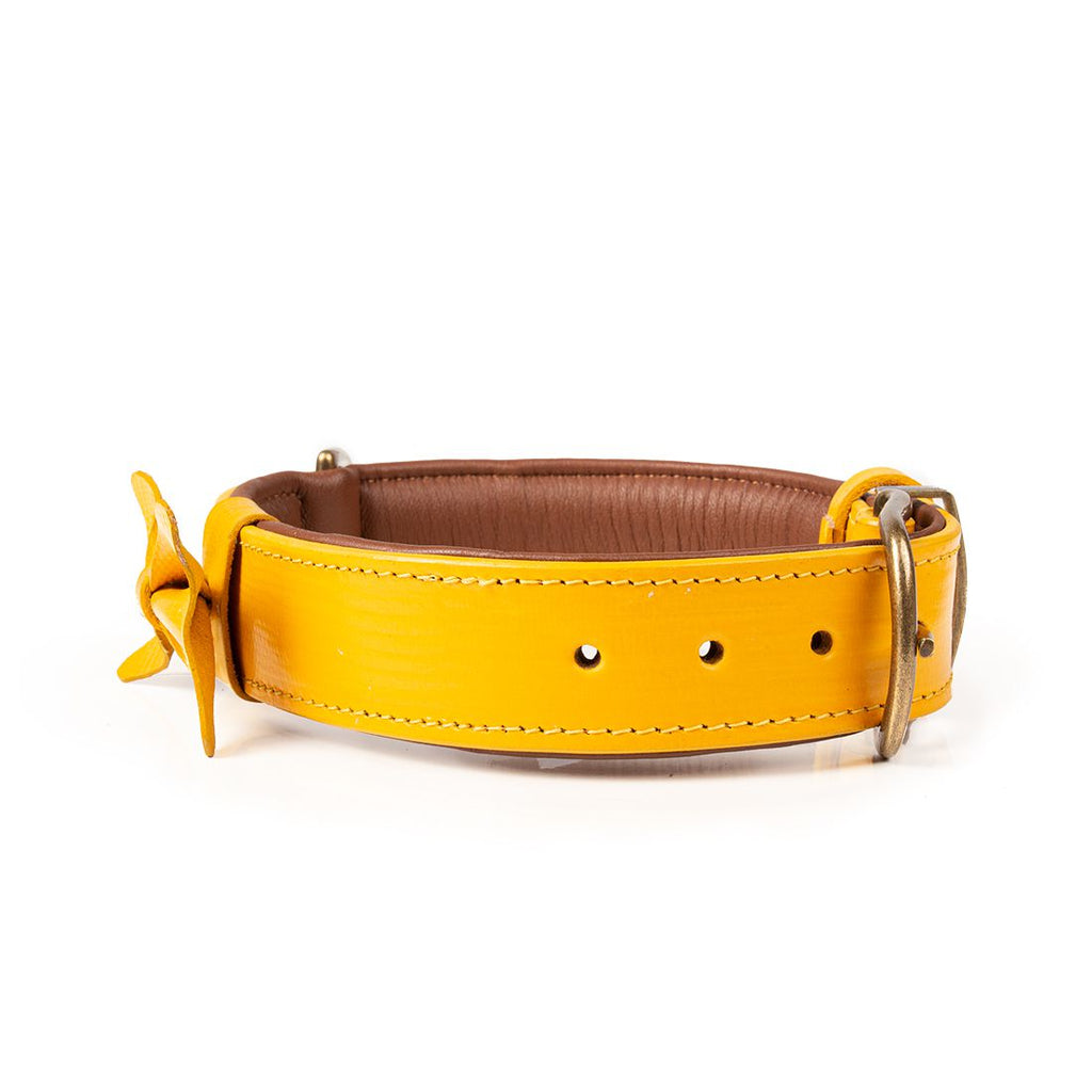 DWAM | Halsband - Bibi