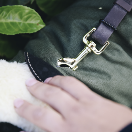 KENTUCKY DOGWEAR | Waterproof Dog Coat - Olijfgroen