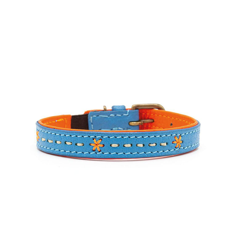 DWAM | Felix Cat collar