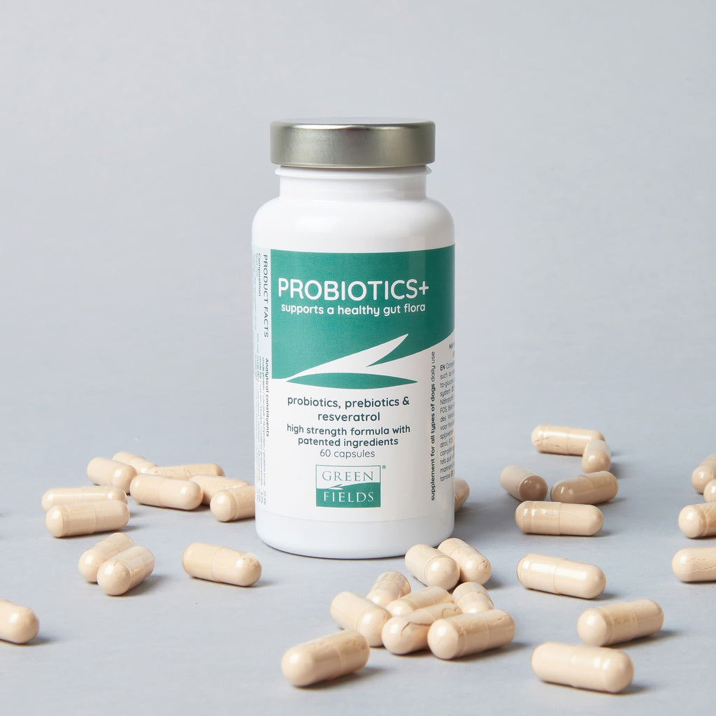 GREENFIELDS | Probiotics+  | Voedingssupplement bij Gevoelige Darmen