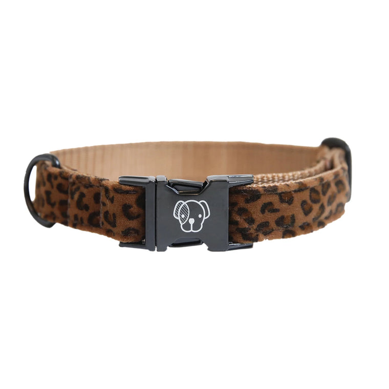 KENTUCKY DOGWEAR | Leopard Halsband - Bruin