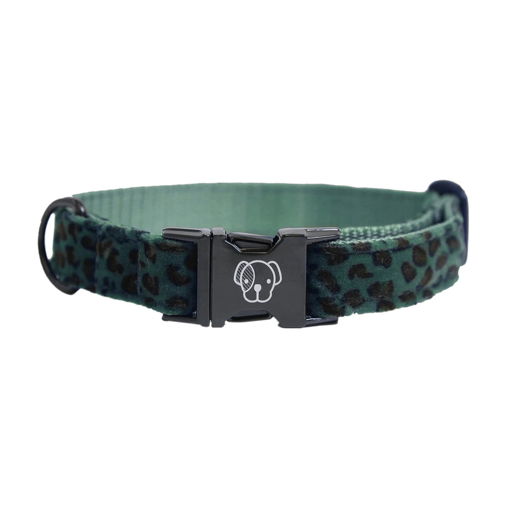 KENTUCKY DOGWEAR | Leopard Halsband - Groen