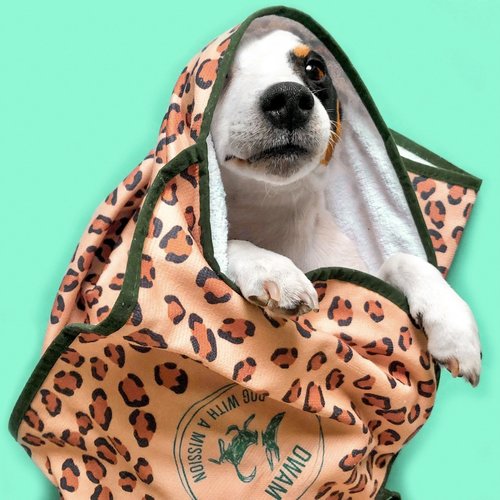 DWAM | Leopard Dog Towel