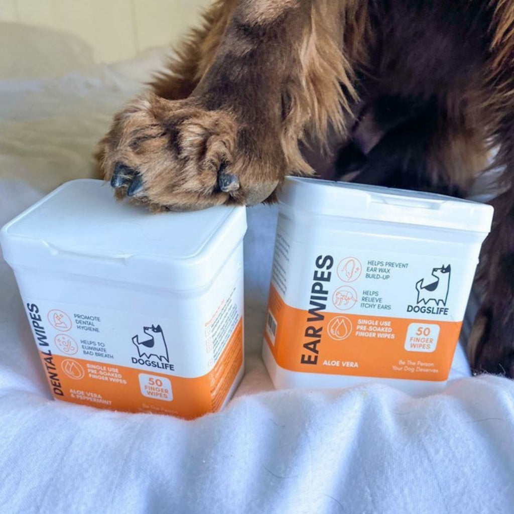 DOGSLIFE | Ear Wipes