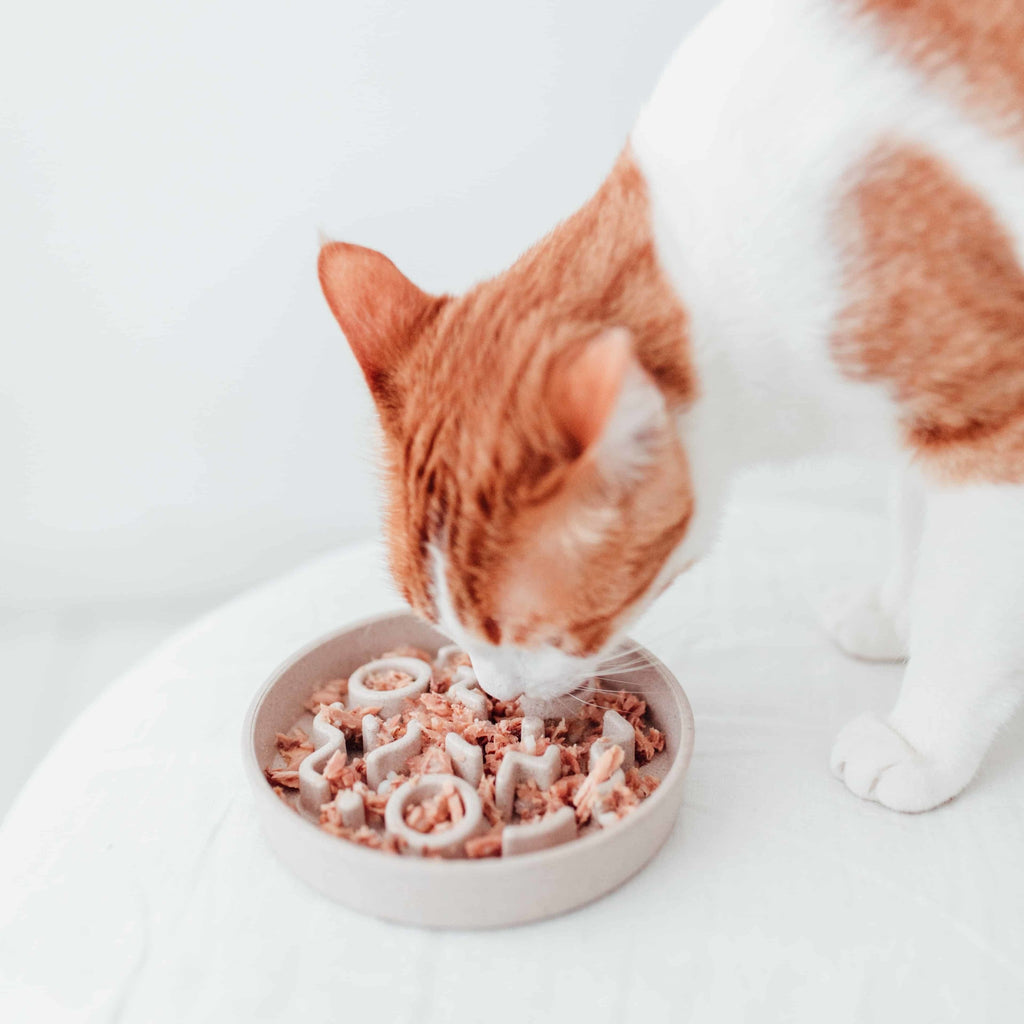 DISTRICT 70 | Bamboo Cat Slow Feeder  - Merengue