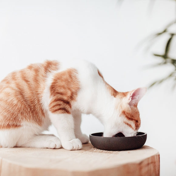 DISTRICT 70 | Bamboo Cat Bowl - Dark Grey