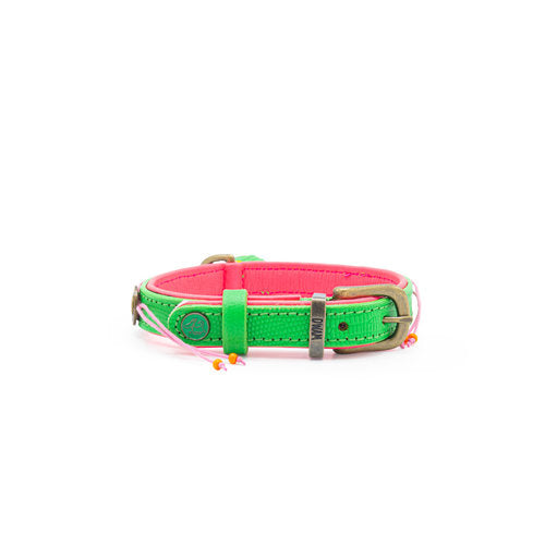 DWAM | Halsband - Tropical Summer