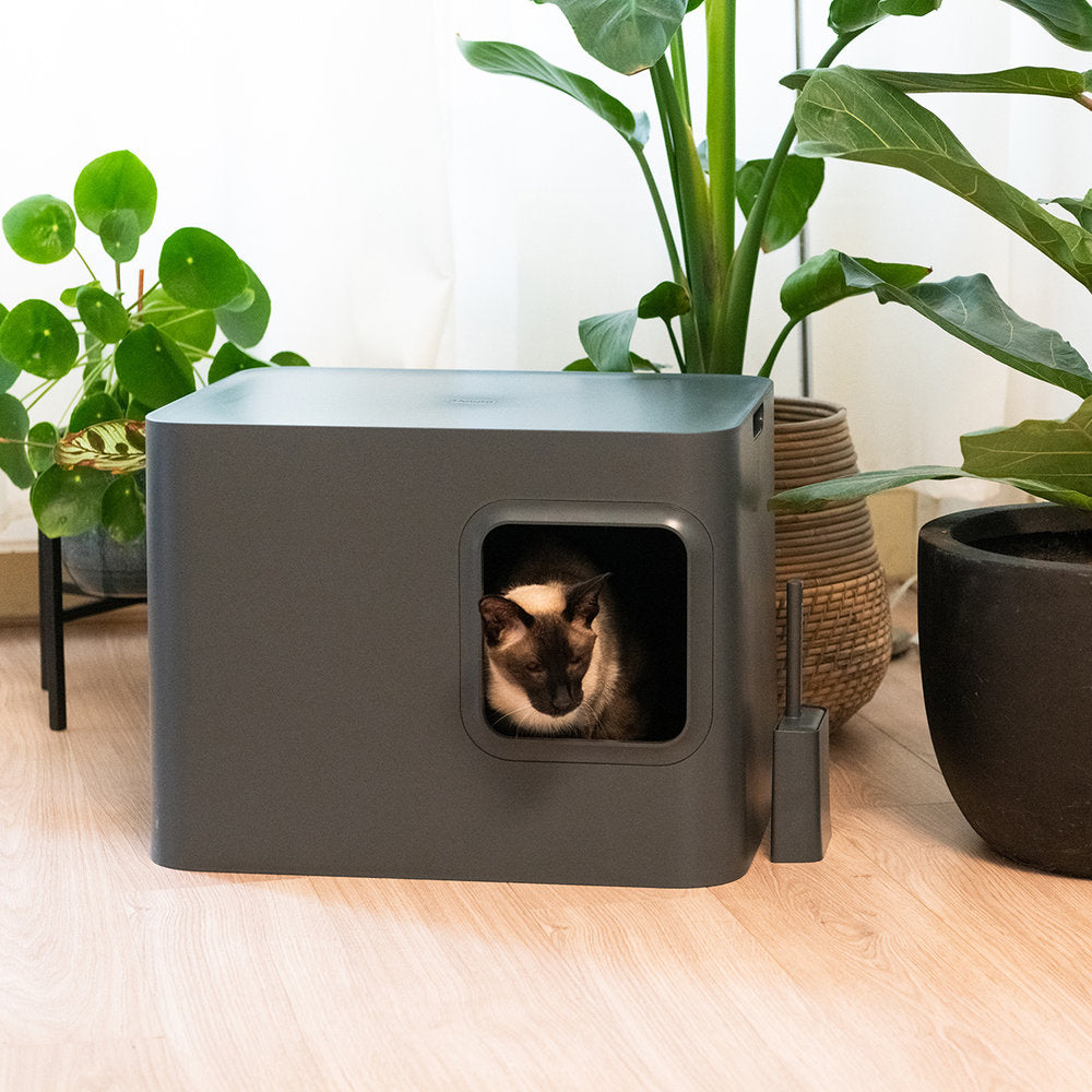 HOOPO | Dome Kattenbak - Grijs