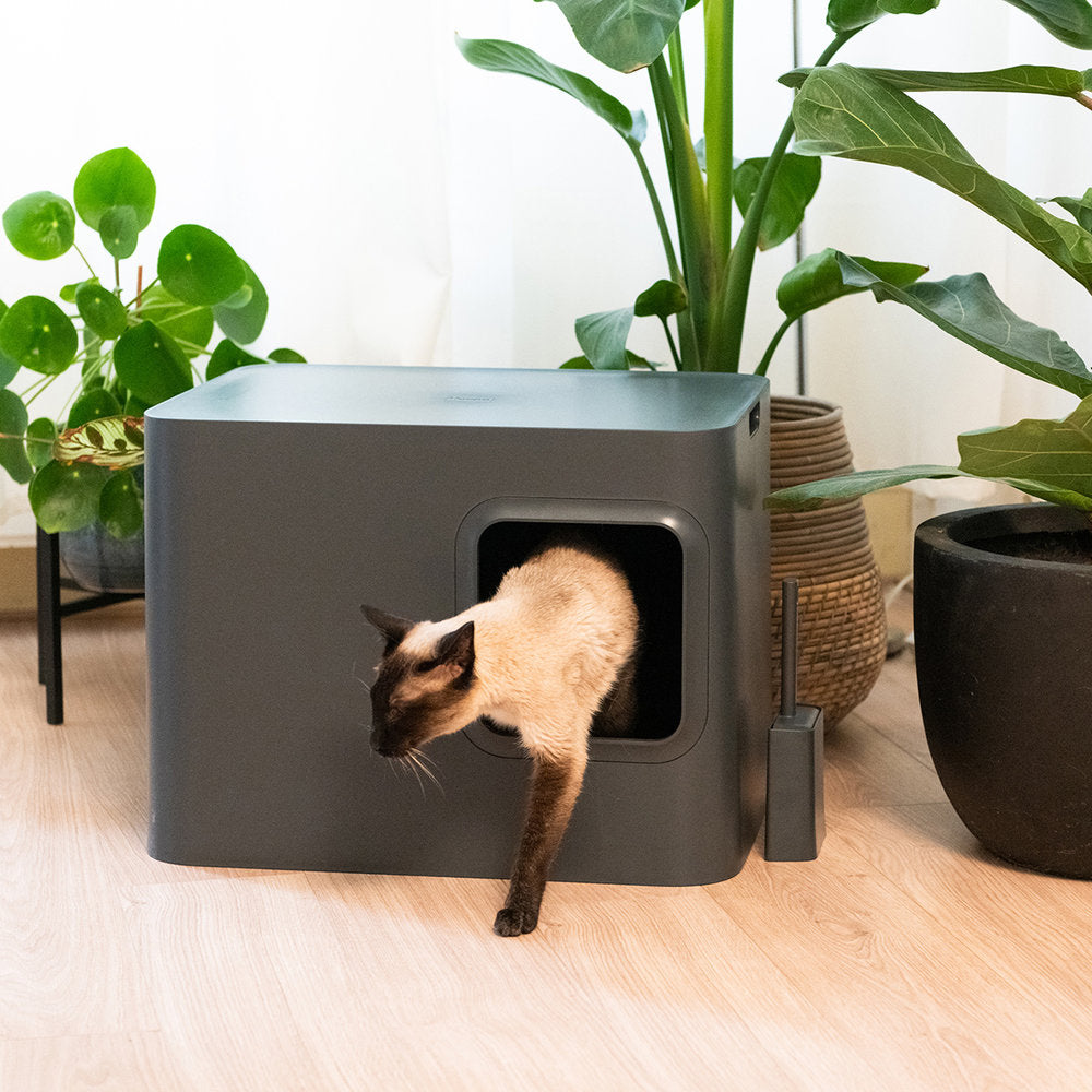 HOOPO | Dome Kattenbak - Grijs