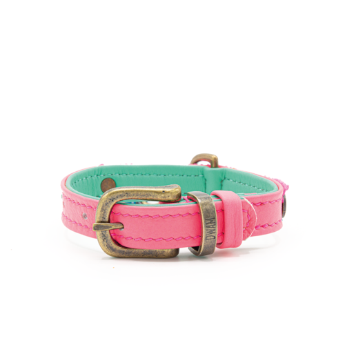 DWAM | Mini Dog Collar - Molly