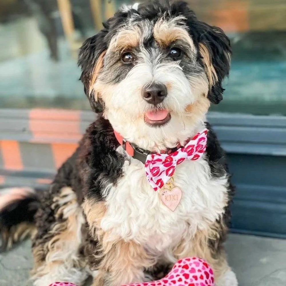 HUXLEY & KENT | Bow Tie - Kisses