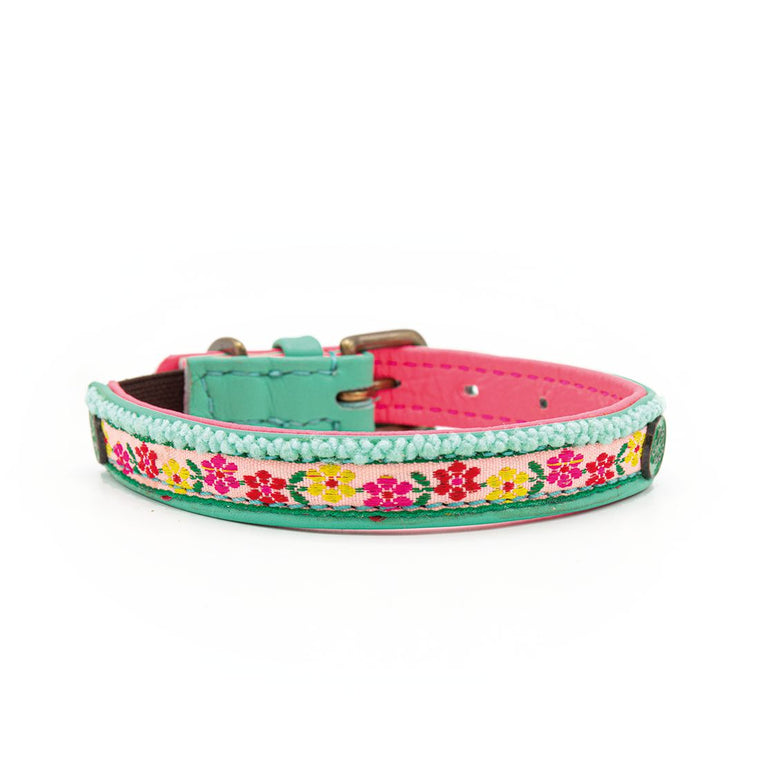 DWAM | Kitty Cat Collar