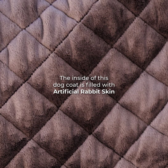 KENTUCKY DOGWEAR | Original Dog Coat - Zwart
